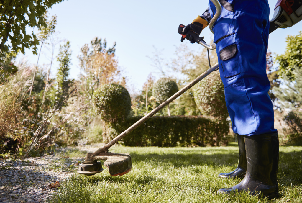 À quelle fréquence faut-il entretenir son jardin dans l’Oise ?