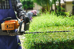 Entretien de Jardin Oise : Quand Intervenir ? | BH Entretien