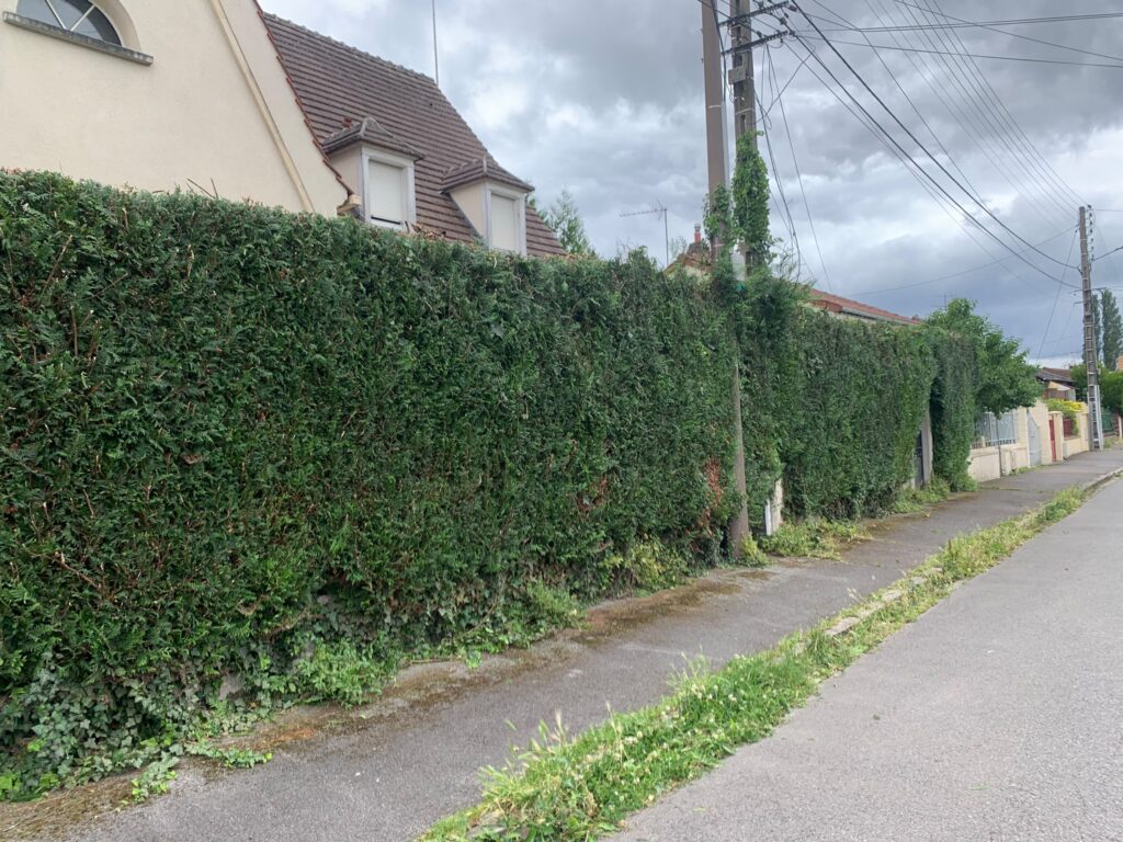 Taille de Haie - BH Entretien Oise 60