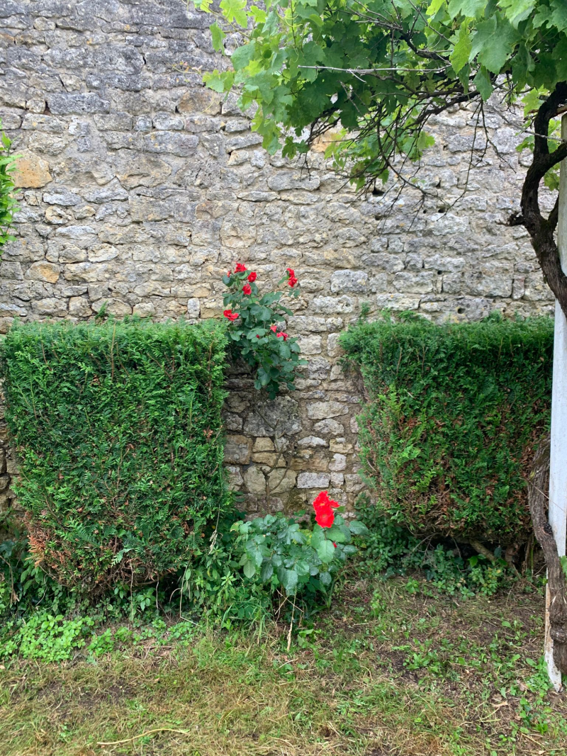 Entretien Jardin - BH Entretien - Aprés