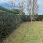 Entretien de jardin Oise (60) | Jardinier paysagiste local