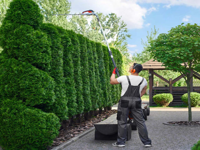 Entretien de jardin Beauvais